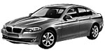 BMW F10 U210D Fault Code